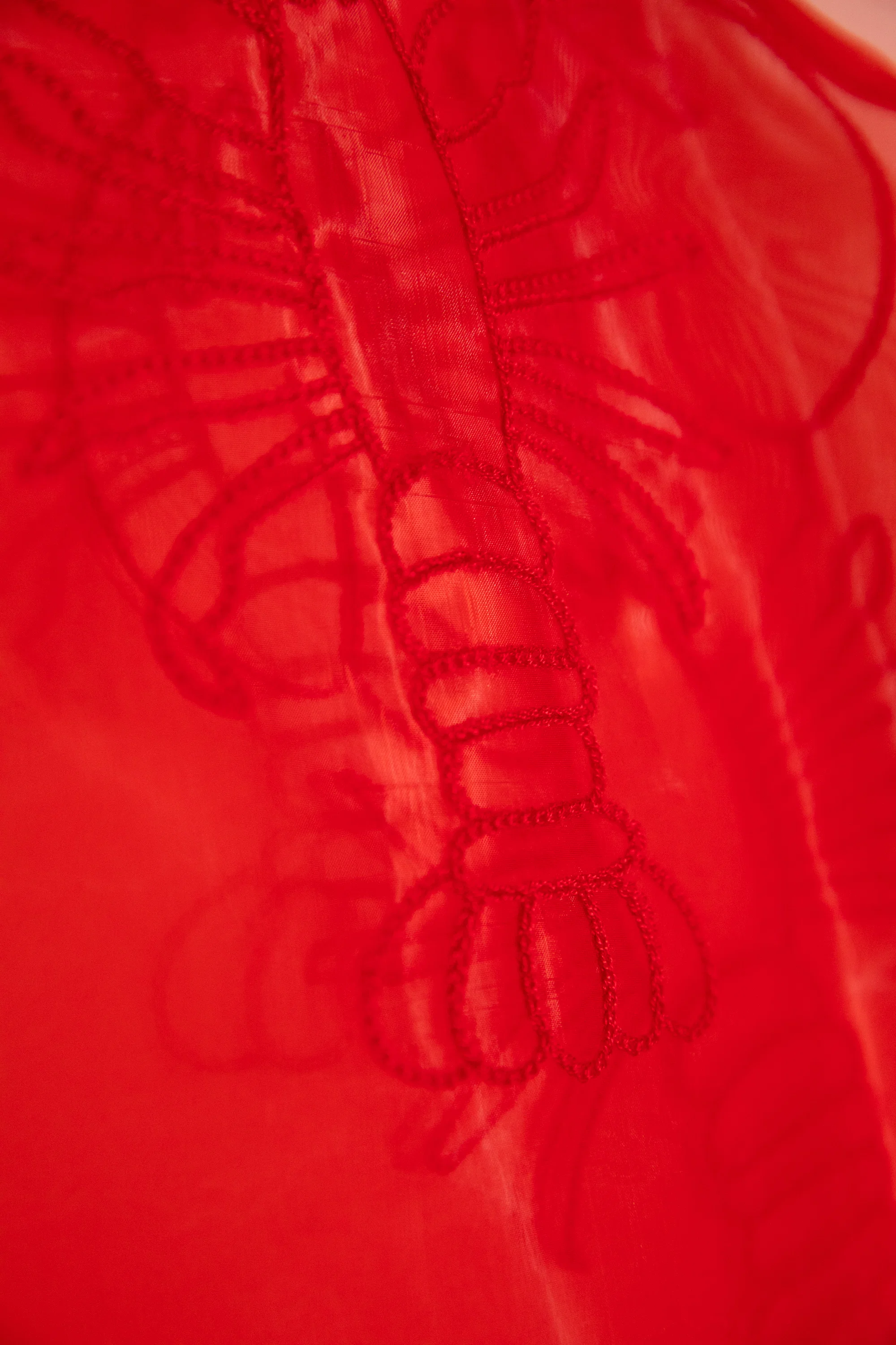 Organza Tunic - Image 8